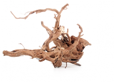 /images/product_images/info_images/roots/korjaga-naturalnaja-root-002_4.jpg